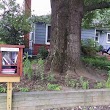 Little Free Library #19387