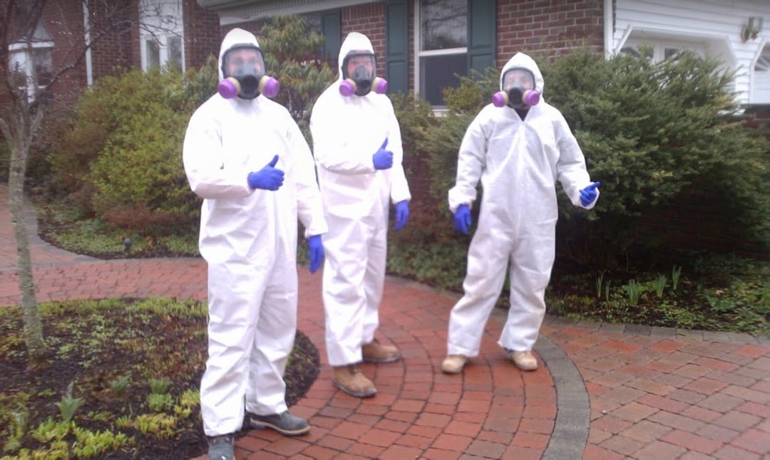 Above & Beyond Mold Inspection & Testing, Mold Removal & Remediation Experts