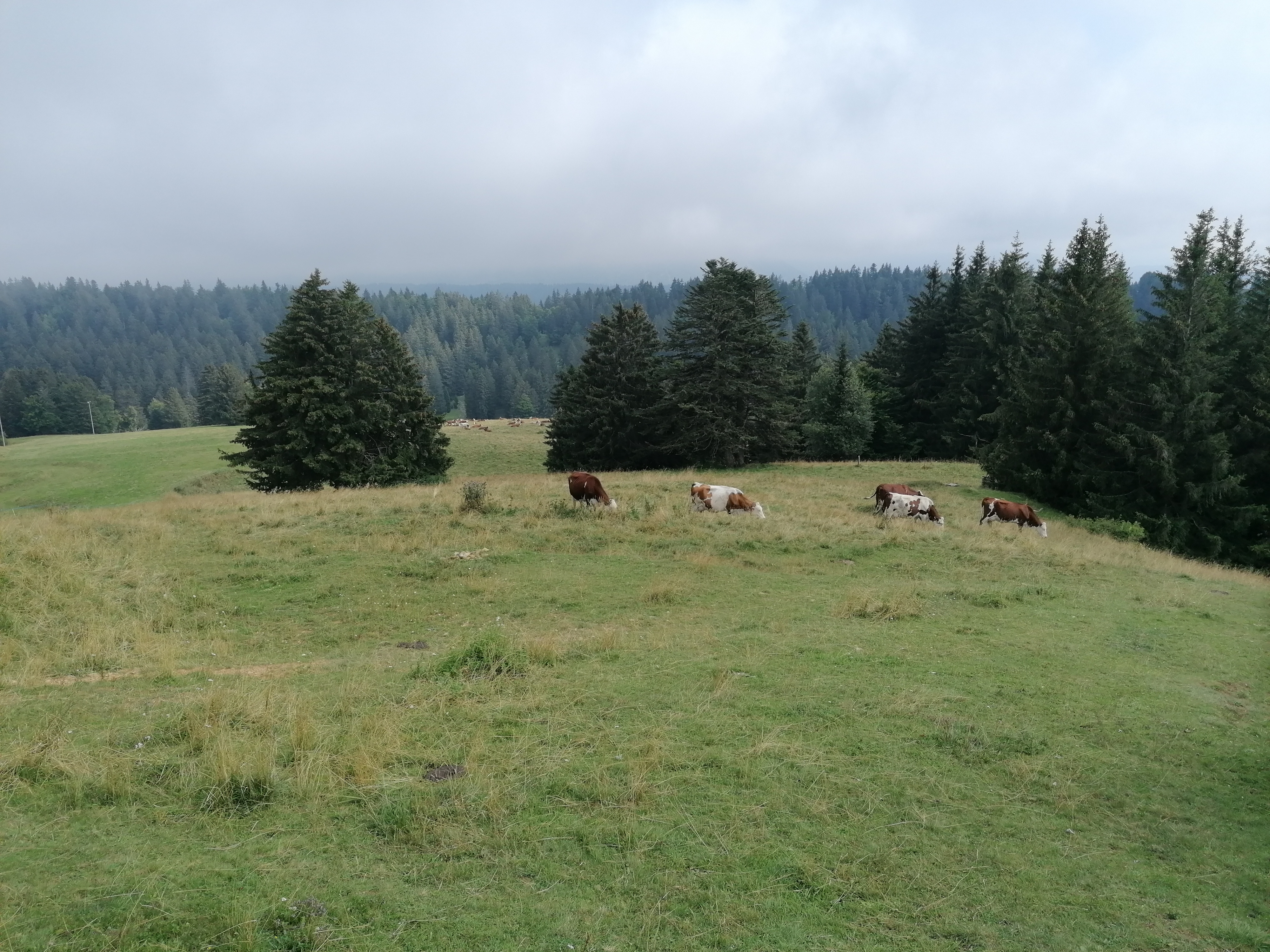 Photo n° 2 de l'avis de Odile.o fait le 24/08/2021 à 20:43