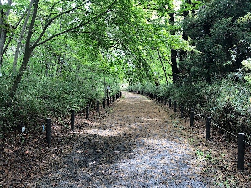 こんぶくろ池自然博物公園 ふじ池エリア