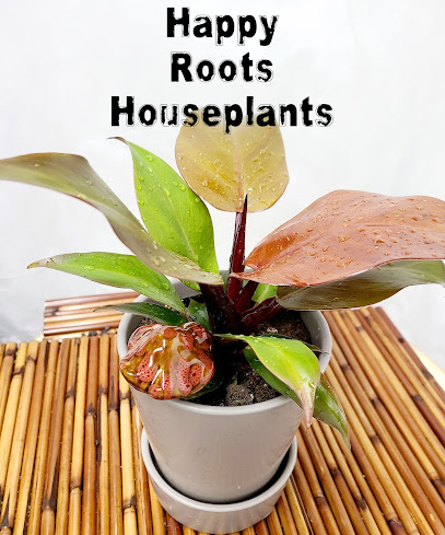 Happy Roots Houseplants