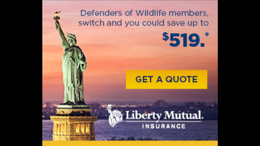 Insurance Agency «Liberty Mutual Insurance, Ira and Igor Slobodyany insurance brokerage», reviews and photos