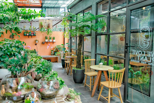 Top 20 quán cafe cho trẻ em Huyện Vĩnh Bảo Hải Phòng 2022