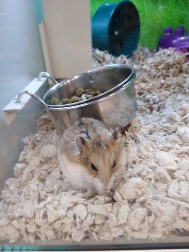 Pet Supply Store «PetSmart», reviews and photos, 420 Consumer Square, Mays Landing, NJ 08330, USA