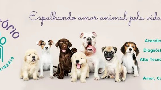 Cãosultório Médico Veterinário em Campinas - SP
