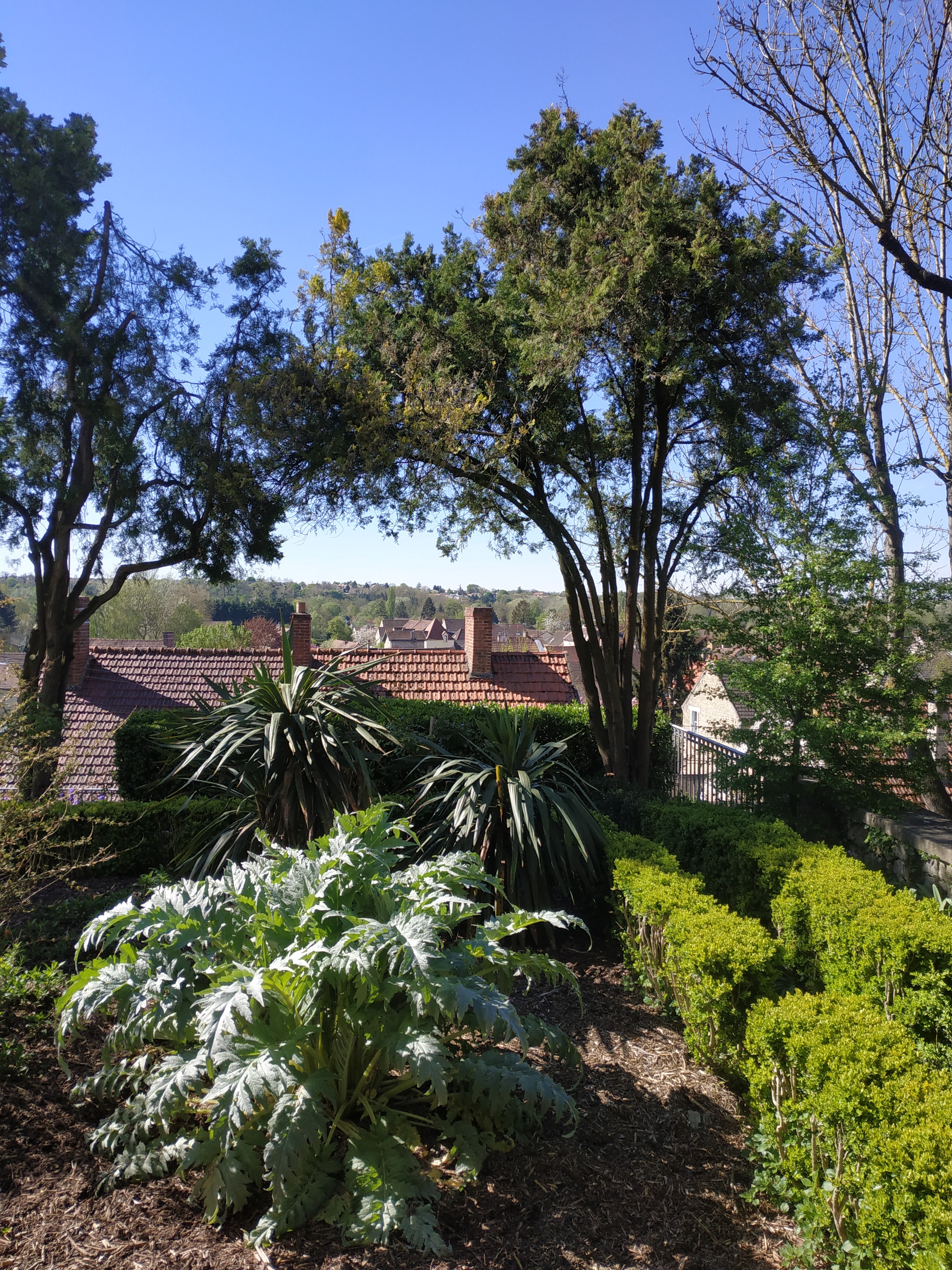 Photo n° 3 de l'avis de Antón. fait le 17/04/2022 à 15:43