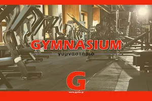 Gymnasium Fitness Club image