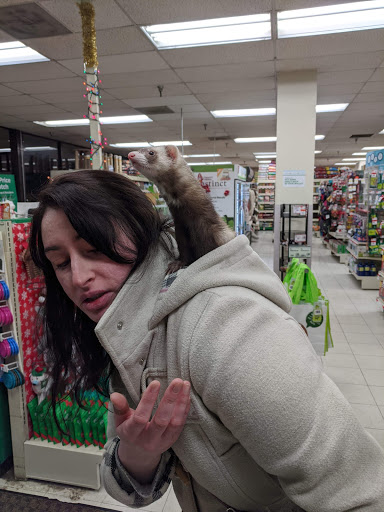 Pet Supply Store «Pet Supplies Plus», reviews and photos, 67 W Golf Rd, Arlington Heights, IL 60005, USA