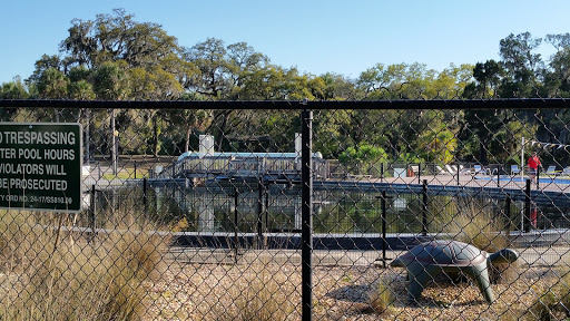 Public Swimming Pool «Sulphur Springs Pool», reviews and photos, 701 E Bird St, Tampa, FL 33604, USA