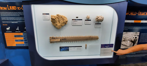 Museum «Museum», reviews and photos, 2142 Southern Dr, Statesboro, GA 30458, USA