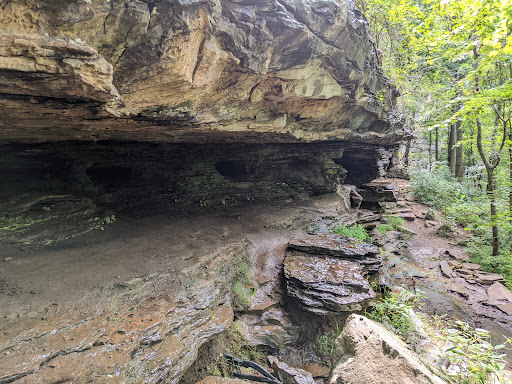 Tourist Attraction «Ozone Falls», reviews and photos, 14563 TN-1, Rockwood, TN 37854, USA