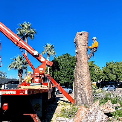 Harris & Sons Tree Specialists