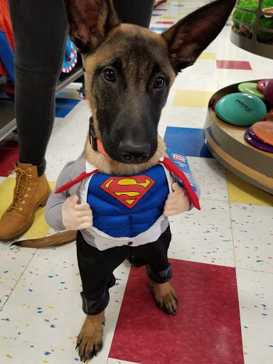 Pet Supply Store «Petco Animal Supplies», reviews and photos, 4820 South Baldwin Road #3B, Orion Township, MI 48359, USA