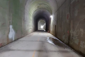 Brushy Mountain Tunnel image