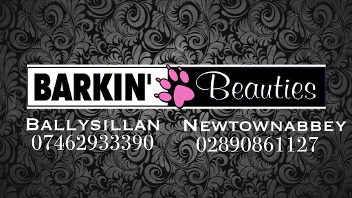 Barkin Beauties- Professional Dog Grooming -Newtownabbey