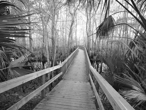 Tourist Attraction «Black Bear Wilderness Trailhead», reviews and photos, 5298 Michigan Ave, Sanford, FL 32771, USA