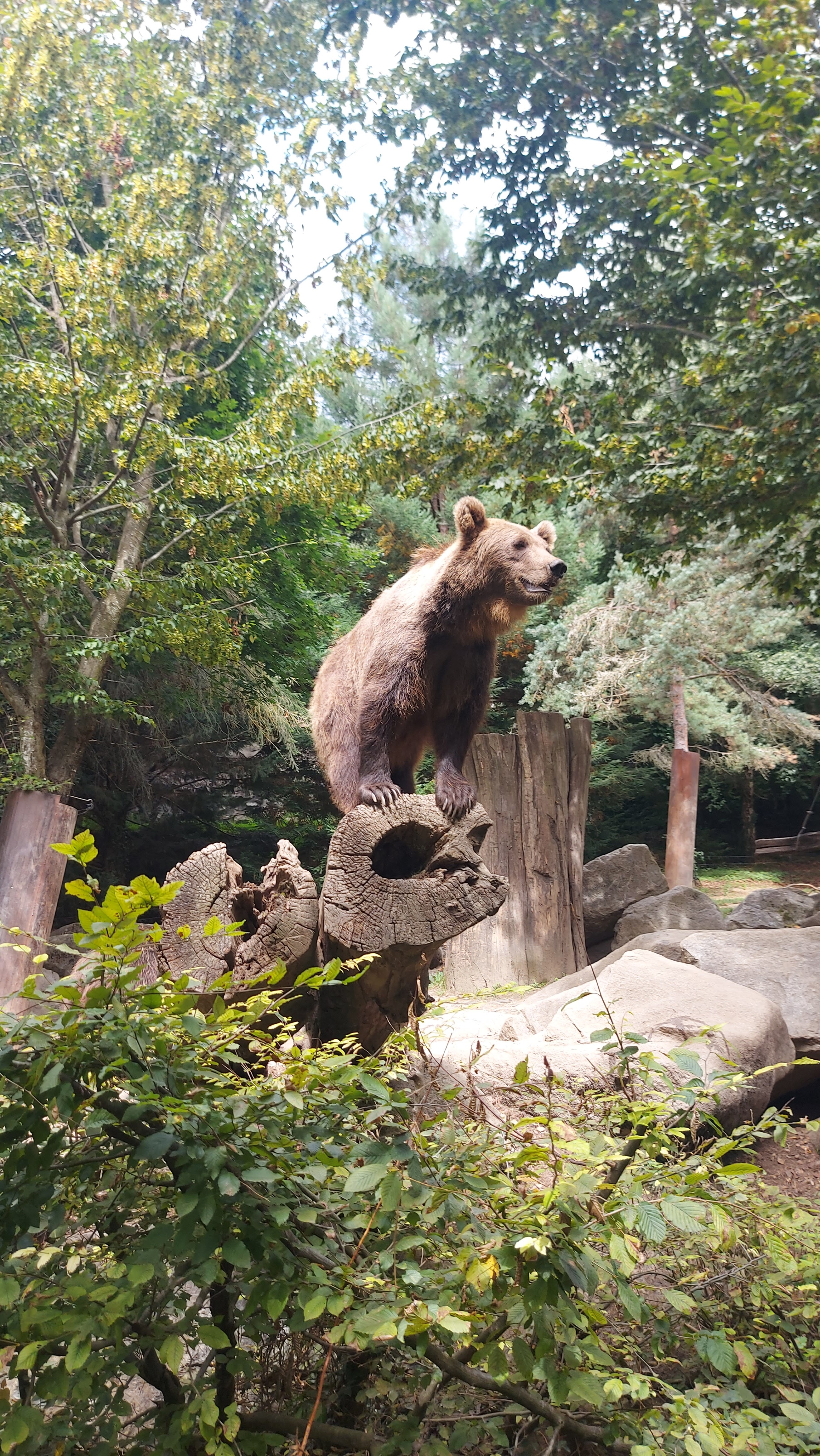 Photo n° 6 de l'avis de Jeremyb59.i fait le 05/08/2023 à 06:02