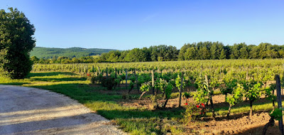 Château Cantelauze-Mezy à Duravel