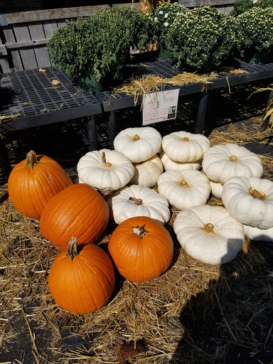 Produce Market «Frecon Farms», reviews and photos, 501 S Reading Ave, Boyertown, PA 19512, USA