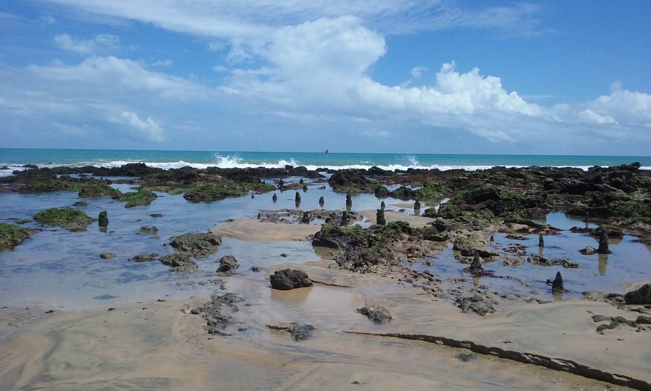 Praia do Ronco do Mar的照片 具有非常干净级别的清洁度