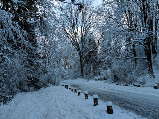 Park «Colman Park», reviews and photos, 1800 Lake Washington Blvd S, Seattle, WA 98144, USA