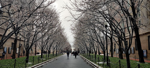 Performing Arts Theater «Miller Theatre», reviews and photos, 2960 Broadway, New York, NY 10027, USA