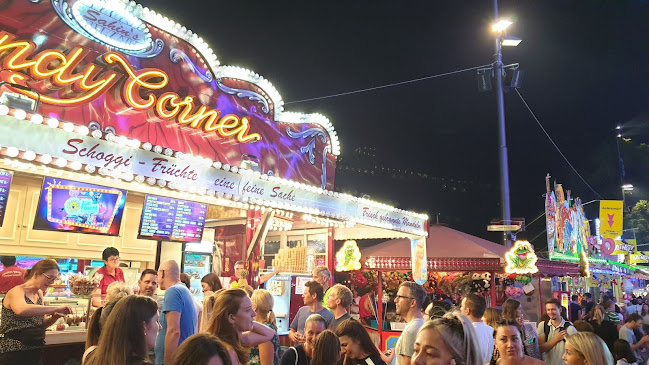 Verein Zürcher Volksfeste - Verband