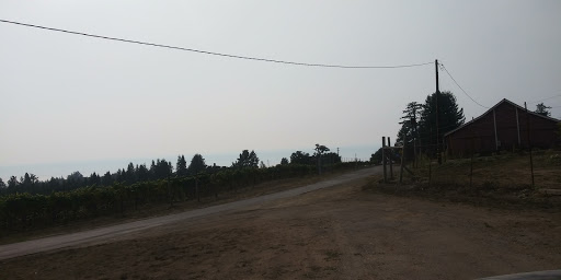 Nature Preserve «LandPaths Grove of Old Trees», reviews and photos, 17599 Fitzpatrick Ln, Occidental, CA 95465, USA