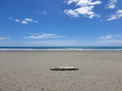 Zdjęcie Waiotahe Beach i osada