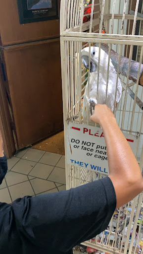 Car Wash «Pacific Car Wash Corporation», reviews and photos, 41080 Trimboli Way, Fremont, CA 94538, USA