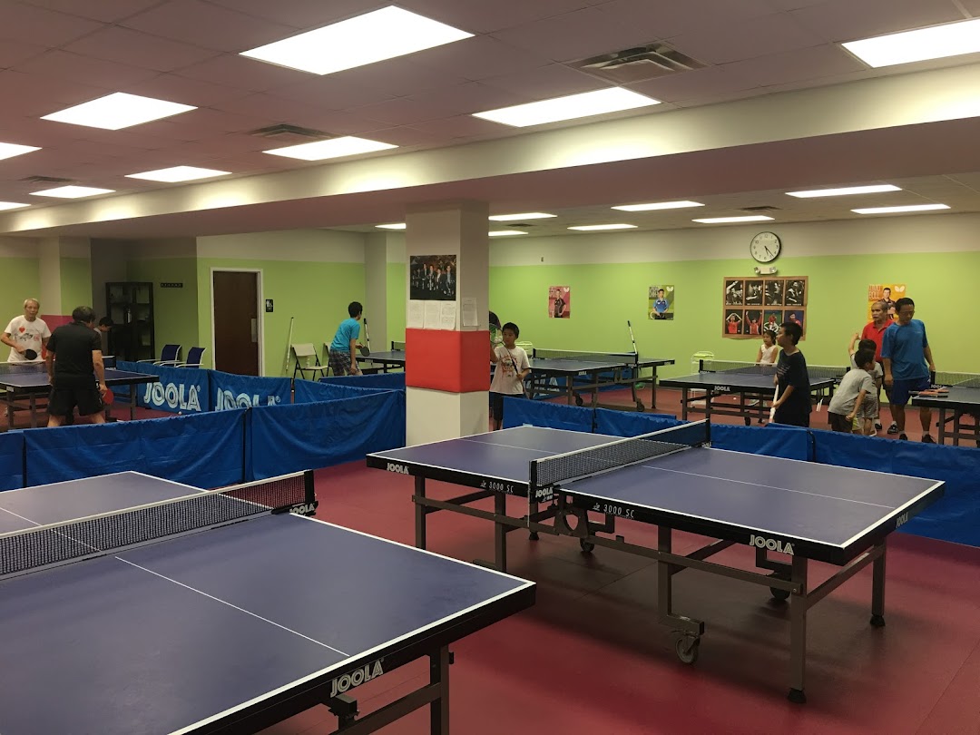 Impact Table Tennis