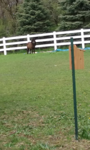 Nature Preserve «Hickory Creek Preserve», reviews and photos, Wolf Rd, Mokena, IL 60448, USA