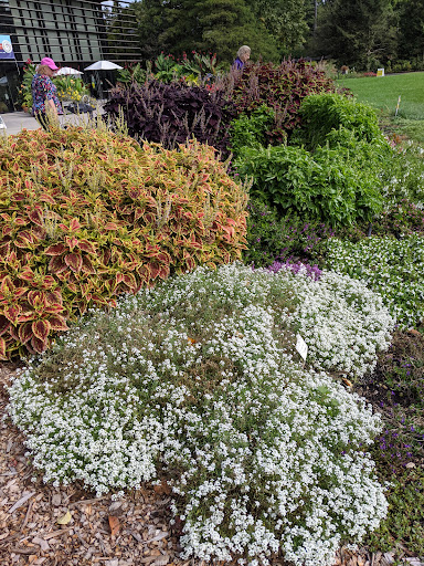 Ice Cream Shop «Cornell Dairy Bar», reviews and photos, 411 Tower Rd, Ithaca, NY 14853, USA