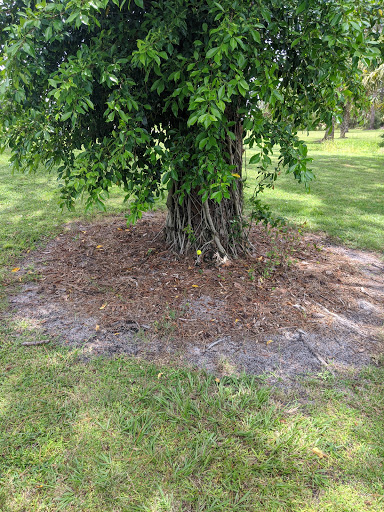 Golf Club «Meadowood Golf and Tennis Club», reviews and photos, 9425 Meadowood Dr, Fort Pierce, FL 34951, USA