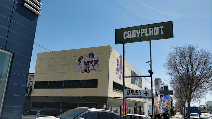 CANYPLANT