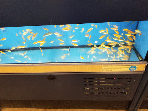 Pet Supply Store «Petco Animal Supplies», reviews and photos, 3551 W Hillsboro Blvd, Deerfield Beach, FL 33442, USA