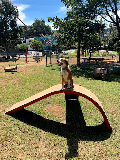 Parque Municipal de Perros