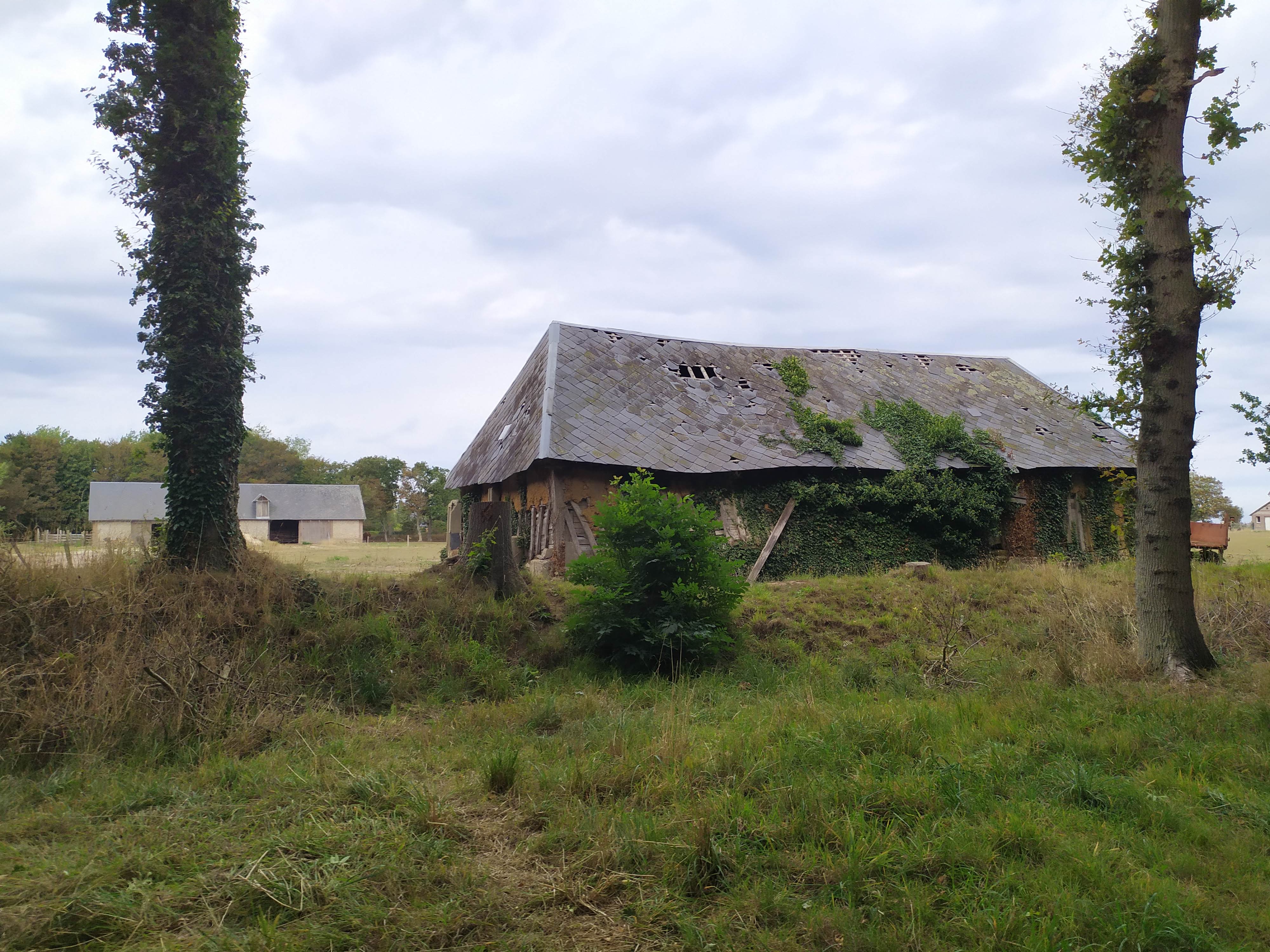 Photo n° 2 de l'avis de angelique8471. fait le 06/09/2022 à 11:26