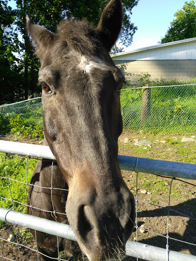 Farm «B & B Flower Farm», reviews and photos, 668 Jones Hill Rd, West Haven, CT 06516, USA