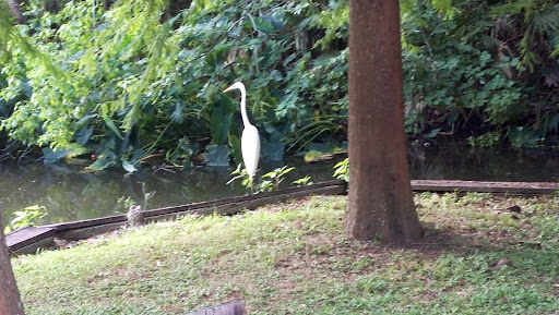 Golf Course «The Clubs of Kingwood - Kingwood Clubhouse», reviews and photos, 1700 Lake Kingwood Trail, Kingwood, TX 77339, USA