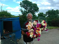 Bushido Gardens - Photo 3 - Car repair in Fayetteville, AR, Fayetteville