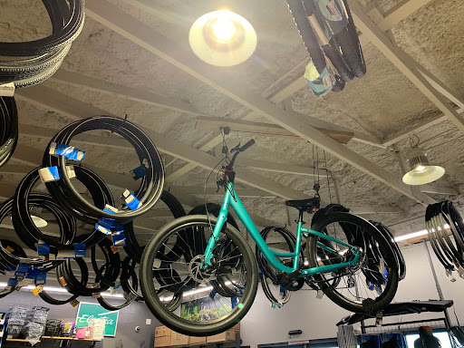 Bicycle Store «Golden Spoke Cyclery», reviews and photos, 6710 W Thunderbird Rd, Peoria, AZ 85381, USA