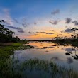 Marsh Island Park ~ Lookout Tower ~ Kiawah Conservancy