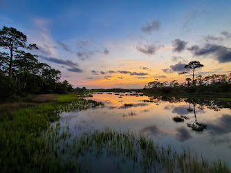 Marsh Island Park ~ Lookout Tower ~ Kiawah Conservancy