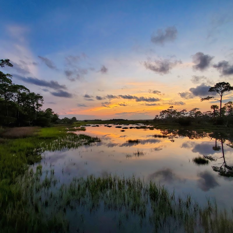 Marsh Island Park ~ Lookout Tower ~ Kiawah Conservancy