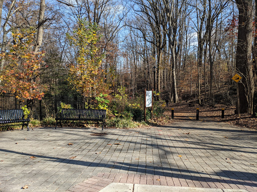Nature Preserve «Tregaron Conservancy», reviews and photos, 3100 Macomb St NW, Washington, DC 20008, USA