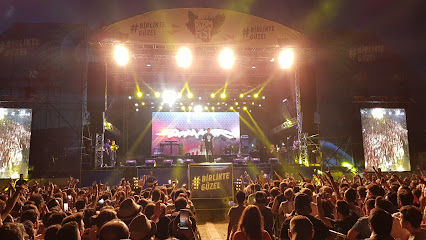 Zeytinli Rock Festivali Plaj