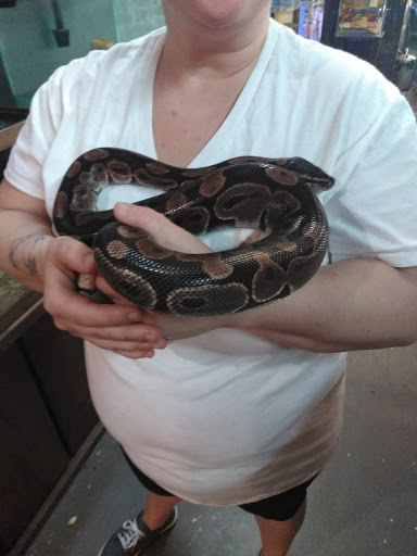 Pet Store «World Wide Pets», reviews and photos, 1307 Fayetteville Rd, Van Buren, AR 72956, USA