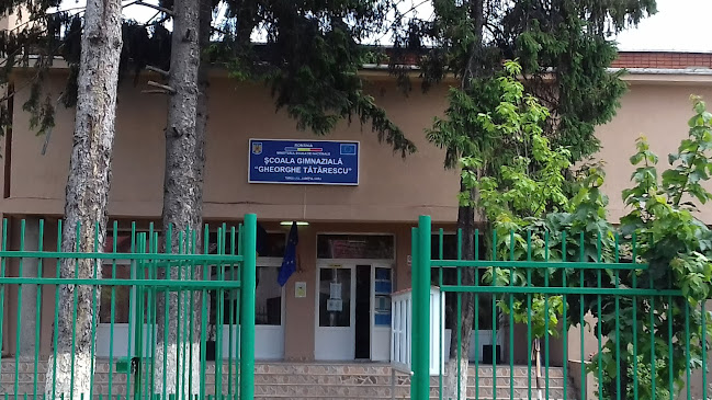 Școala Gimnazială Gheorghe Tătărăscu - <nil>