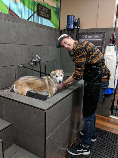 Pet Store «Pet Valu», reviews and photos, 40 Washington Ave, Dumont, NJ 07628, USA